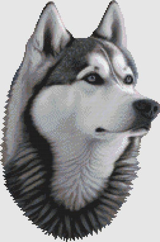 Siberian Husky: Portrait - DogShoppe Designs