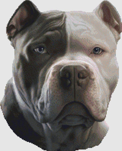 Pitbull Terrier: Portrait - DogShoppe Designs