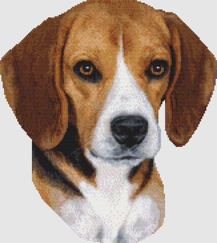 Beagle: Portrait (Tri) - DogShoppe Designs