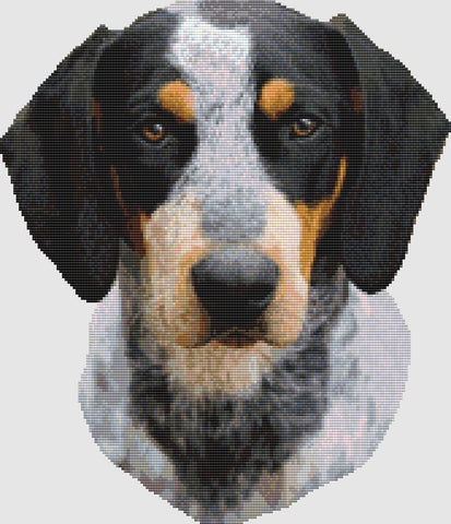 Coonhound: Portrait (Bluetick) - DogShoppe Designs