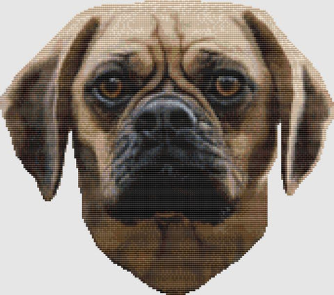 Puggle: Sincere - DogShoppe Designs