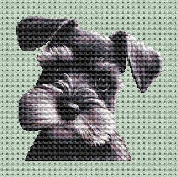 Schnauzer Portrait - White Willow Stitching