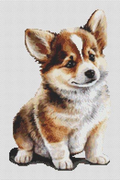 Corgi Puppy - White Willow Stitching