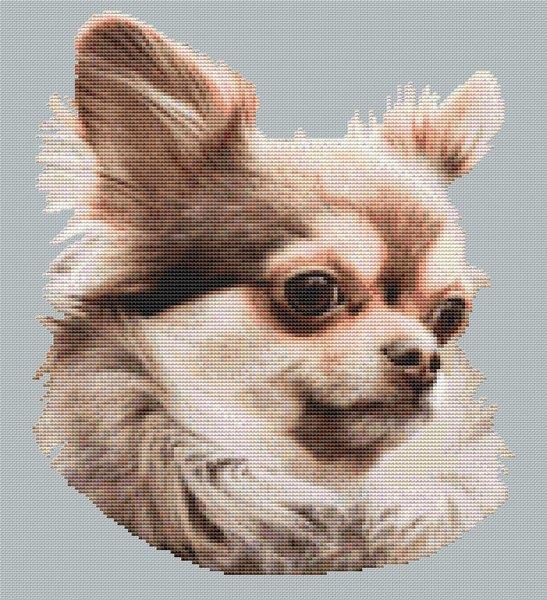 Chihuahua 3 - White Willow Stitching