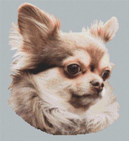 Chihuahua 3 - White Willow Stitching