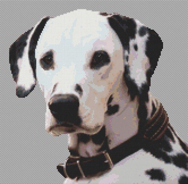 Dalmatian 3 - White Willow Stitching