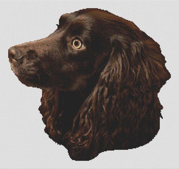 Boykin Spaniel - White Willow Stitching