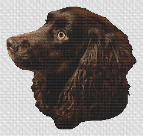 Boykin Spaniel - White Willow Stitching