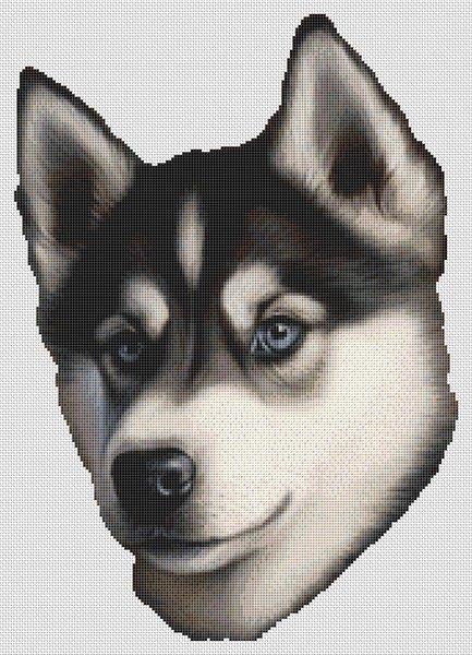 Husky - White Willow Stitching