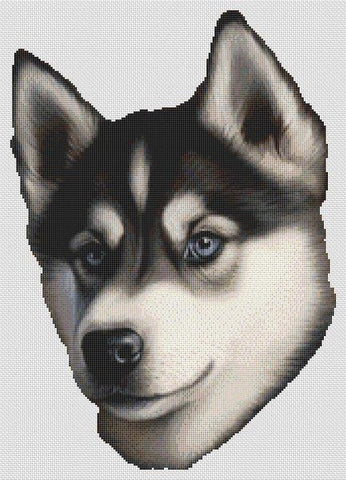 Husky - White Willow Stitching