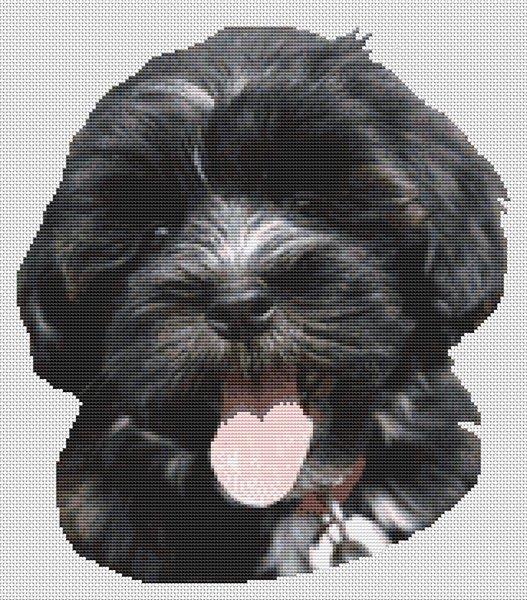 Havanese Puppy - White Willow Stitching