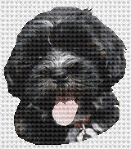 Havanese Puppy - White Willow Stitching
