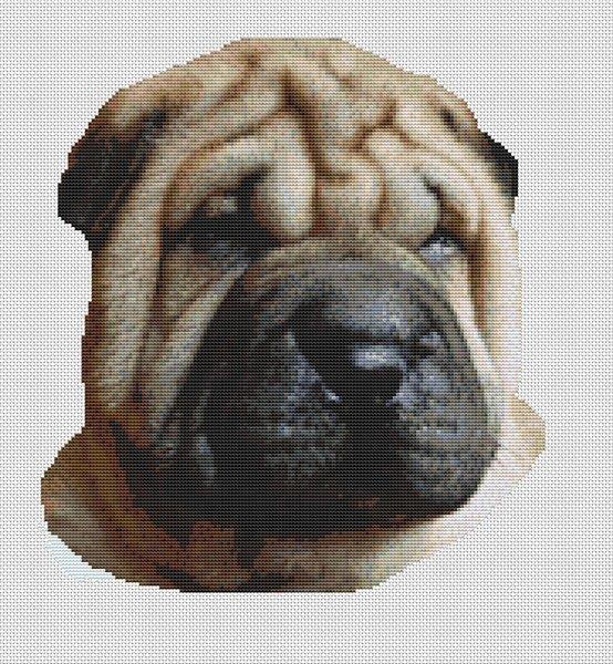 Fawn Shar Pei - White Willow Stitching