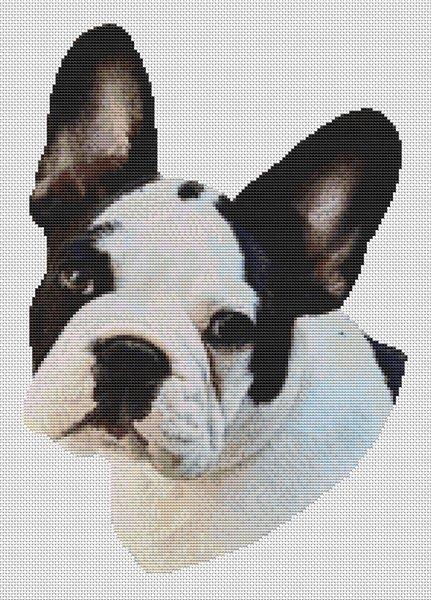 Spotted French Bulldog - White Willow Stitching
