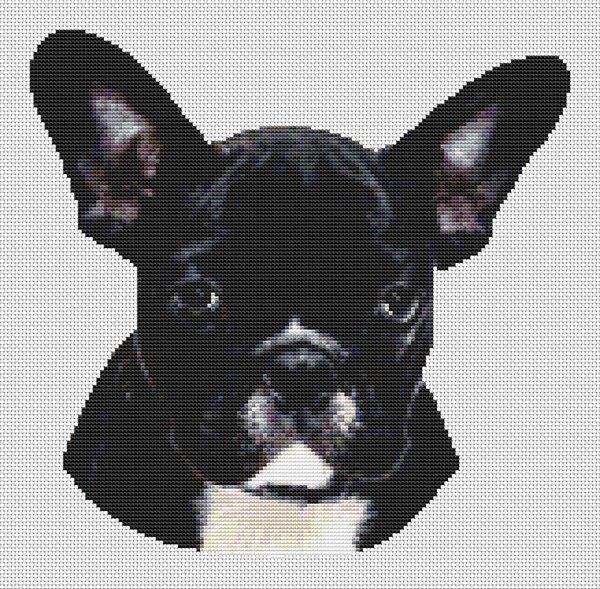Black & White French Bulldog - White Willow Stitching