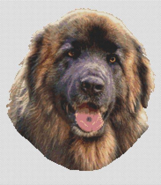 Leonberger - White Willow Stitching