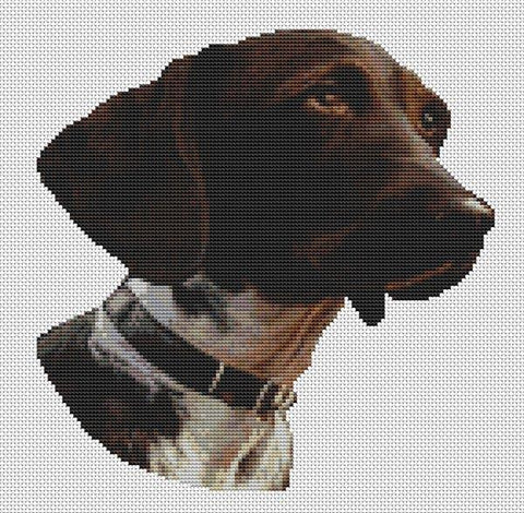 German Shorthaired Pointer 2 - White Willow Stitching