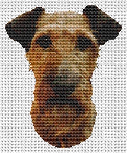 Irish Terrier - White Willow Stitching