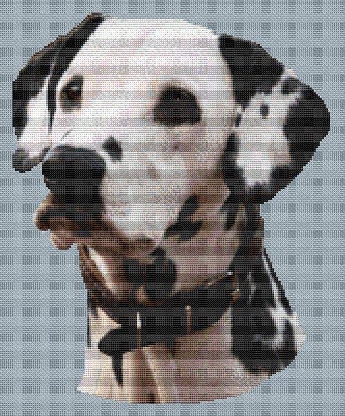 Dalmatian 4 - White Willow Stitching