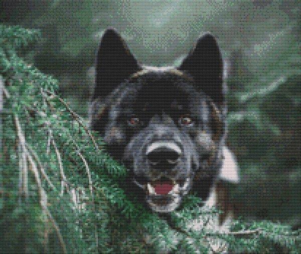 Akita Smile - White Willow Stitching