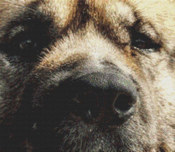 Through the Eyes: Akita - White Willow Stitching