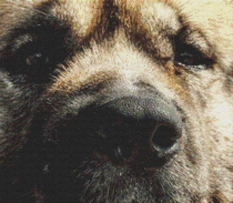 Through the Eyes: Akita - White Willow Stitching