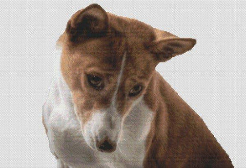 Basenji - White Willow Stitching
