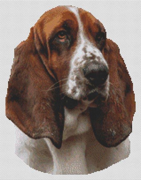 Red And White Basset Hound - White Willow Stitching