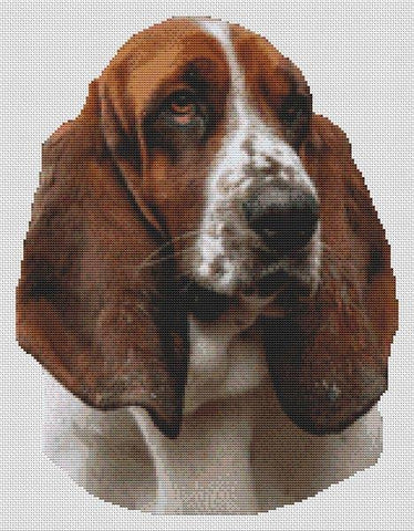 Red And White Basset Hound - White Willow Stitching