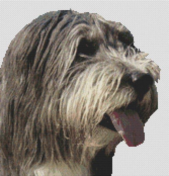 Bearded Collie - White Willow Stitching