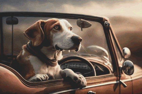 Going For A Ride: Treeing Walker Coonhound  - White Willow Stitching