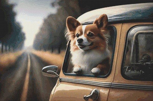 Going For A Ride: Pomeranian - White Willow Stitching