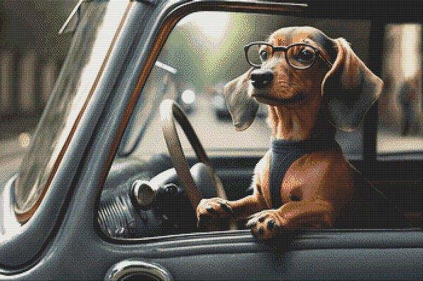 Going For A Ride: Dachshund - White Willow Stitching