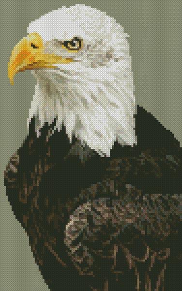 Mini Bald Eagle Portrait - Artecy Cross Stitch