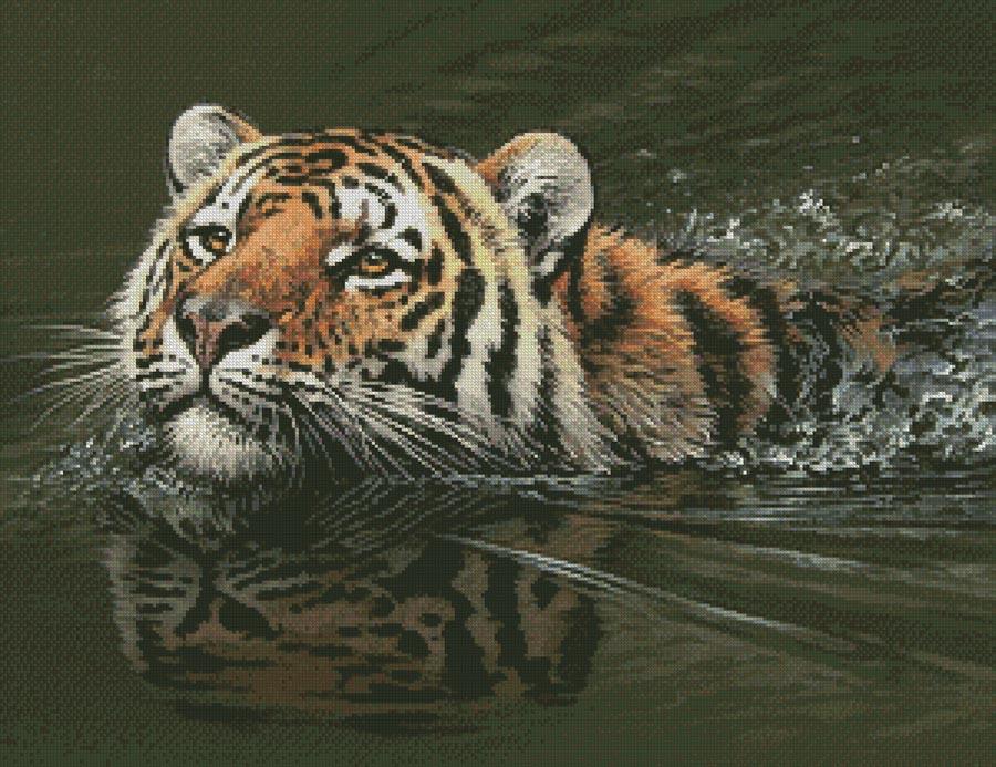 Bengal Crossing - Artecy Cross Stitch