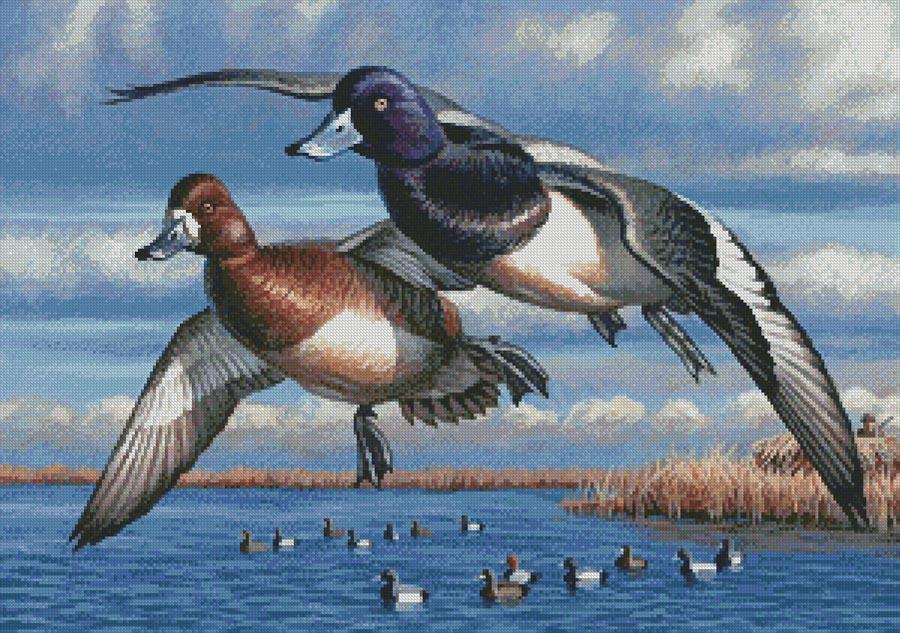 Bluebills - Artecy Cross Stitch