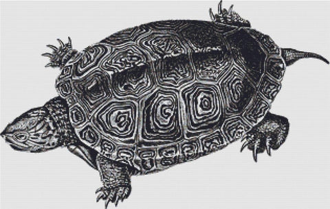 Sea Turtle - X Squared Cross Stitch
