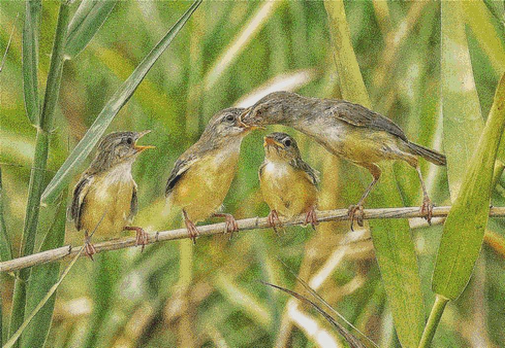 Feeding Birds - X Squared Cross Stitch