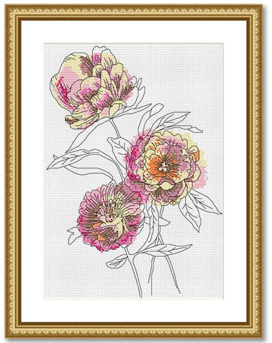 Peonies - Peacock & Fig