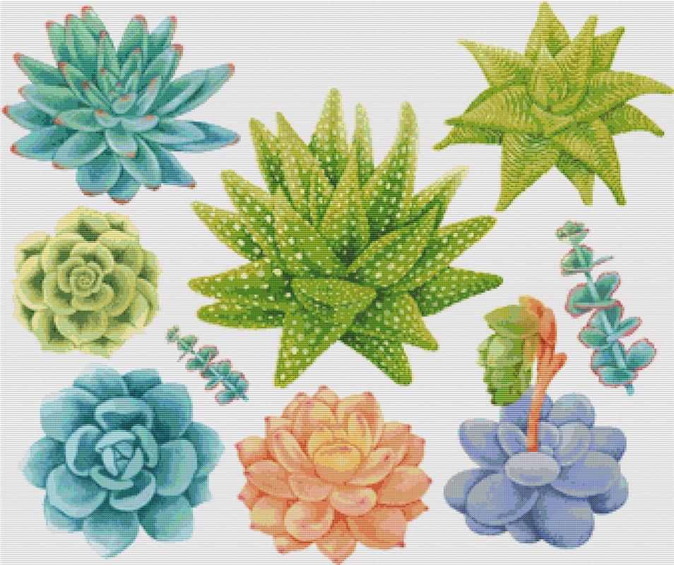 Set Of Succulents - X Squared Cross Stitch