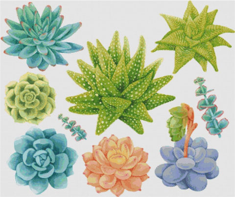 Set Of Succulents - X Squared Cross Stitch