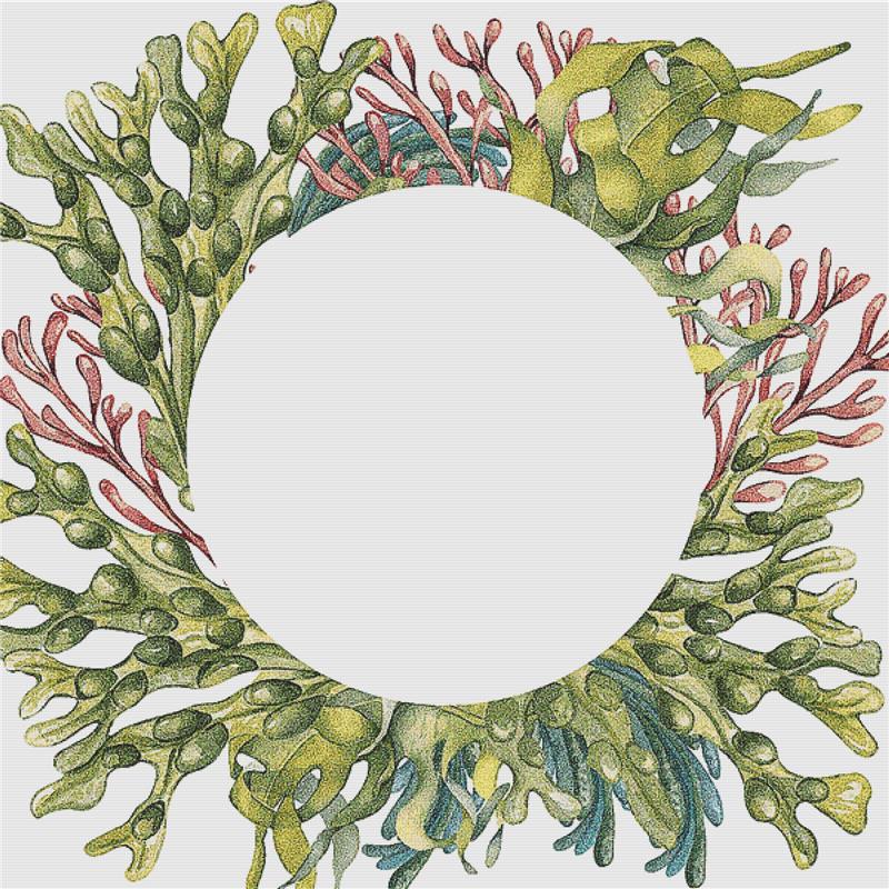 Frame Of Green Sea Plants - X Squared Cross Stitch