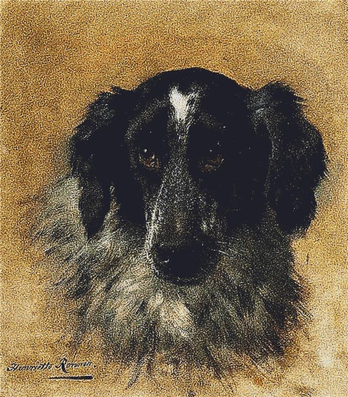 Portrait Of A Cocker Spaniel - X Squared Cross Stitch