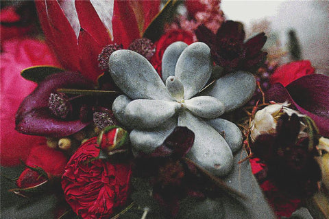 Bright Red Autumn Bouquet - X Squared Cross Stitch