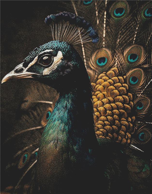 Beautiful Peacock With Colourful Feathers - X Squared Cross Stitch