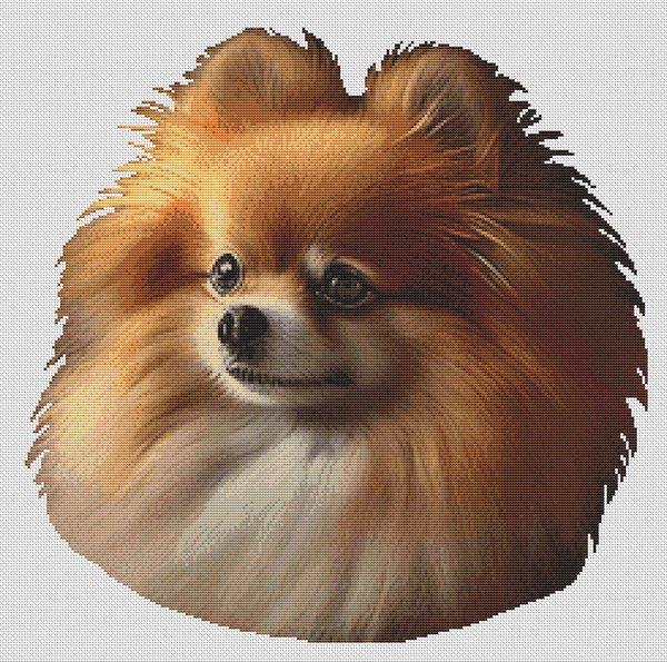 Red Pomeranian - White Willow Stitching