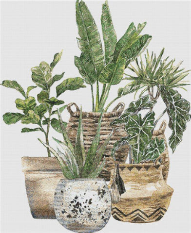 Group Of Houseplants - X Squared Cross Stitch