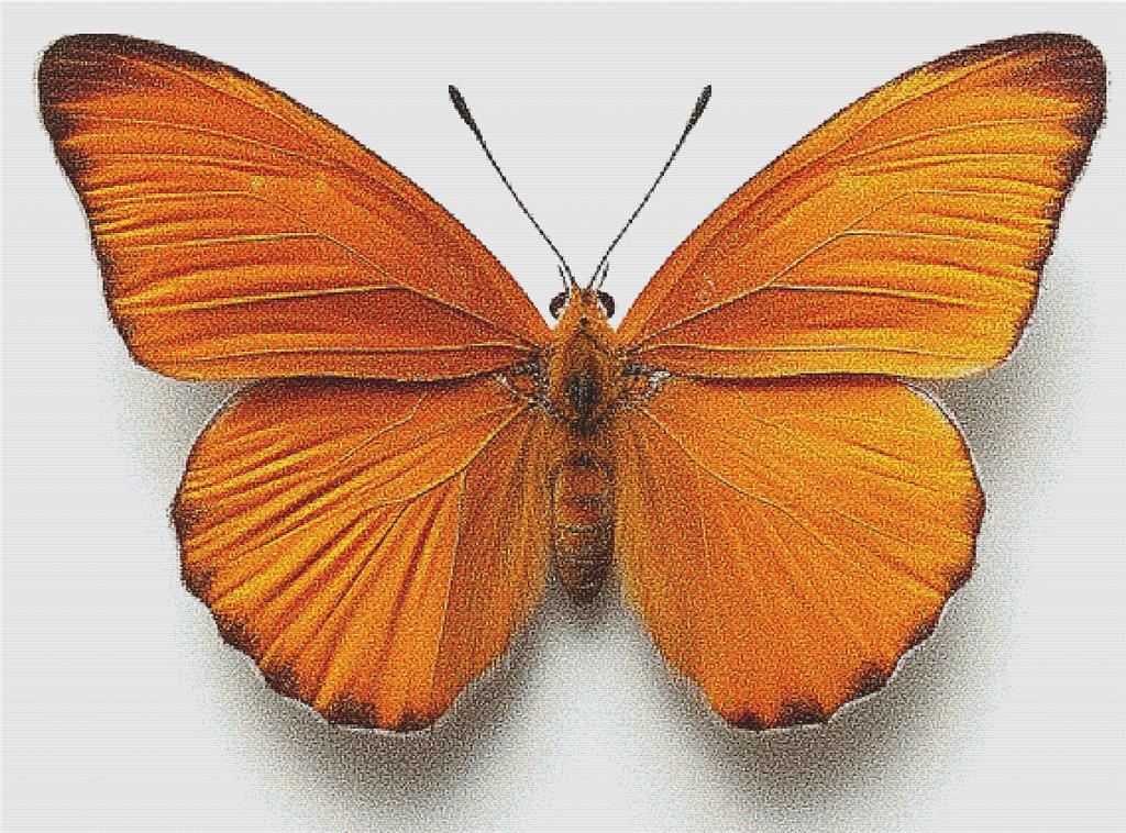 Julia Butterfly - X Squared Cross Stitch