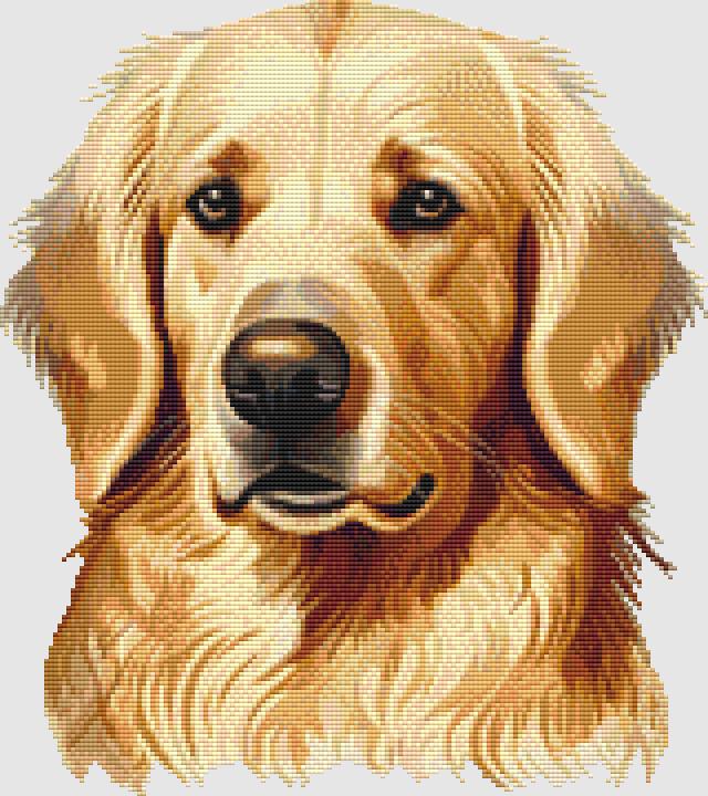 Golden Retriever: Portrait III - DogShoppe Designs