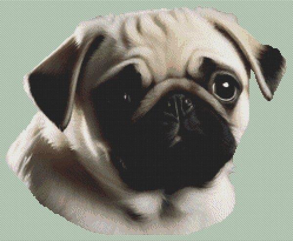 Fawn Pug 2 - White Willow Stitching